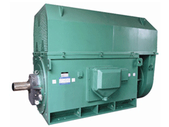 YE2-112M-6YKK系列高压电机