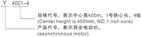 西安泰富西玛Y系列(H355-1000)高压YE2-112M-6三相异步电机型号说明