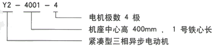 YR系列(H355-1000)高压YE2-112M-6三相异步电机西安西玛电机型号说明